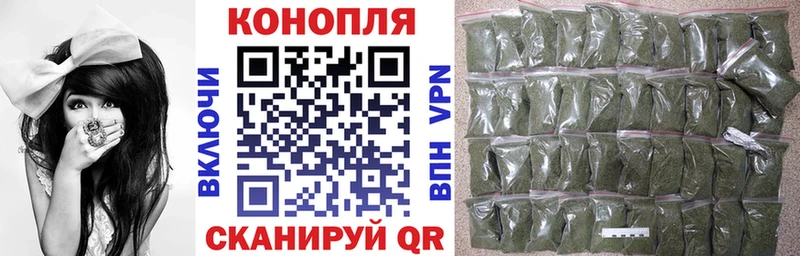 Купить  Аркадак  Конопля марихуана 
